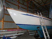 Newport MK11 Click to launch Larger Image
