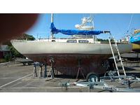 1972 Highlands New Jersey 29 Amsterdam Shipyard G de Vries Lentsch JrTripp Tripp Lentsch 29