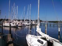 Joust FRA Golif Click to launch Larger Image