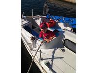 Joust FRA Golif Click to launch Larger Image