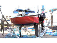 WD Schock Santana 525 Click to launch Larger Image