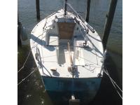 WD Schock Santana Click to launch Larger Image