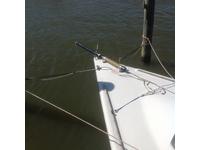 WD Schock Santana Click to launch Larger Image