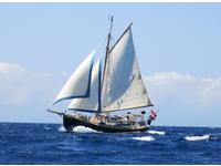 Tradewind 25 Click to launch Larger Image