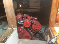 custom custom Click to launch Larger Image