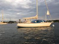 Tartan Marine Tartan sloop 30 Click to launch Larger Image