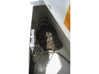 Beneteau Oceanis 40 Click to launch Larger Image