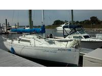 Benetau First 235 Click to launch Larger Image