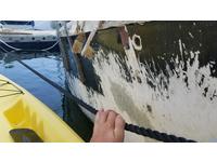 Aquarius 24 Pilot Cutter Click to launch Larger Image