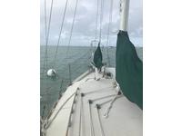 Aquarius 24 Pilot Cutter Click to launch Larger Image