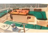 Allmand Sloop 31 Click to launch Larger Image