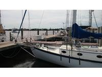 alajuela sail Click to launch Larger Image