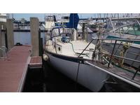 alajuela sail Click to launch Larger Image