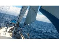 alajuela sail Click to launch Larger Image