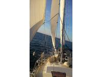 alajuela sail Click to launch Larger Image