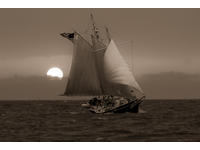 Texas Boat Works  Click to launch Larger Image