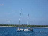 1982 Moore Haven Florida 31 Cat Ketch Corporation Herreshoff Cat Ketch 31