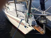 Catalina Catalina Tall Rig Click to launch Larger Image