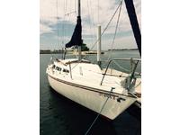 Catalina Catalina Tall Rig Click to launch Larger Image