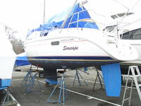Hunter 336 Click to launch Larger Image