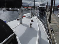 Maple Leaf Sloop Click to launch Larger Image