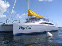 Maine Cat Maine Cat 41 Click to launch Larger Image