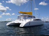 Maine Cat Maine Cat 41 Click to launch Larger Image