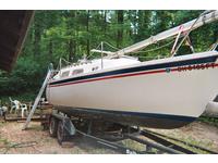 Balboa Coastal Cruiser Click to launch Larger Image