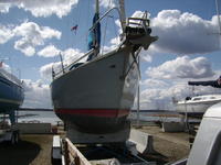 Goman Express 30 Click to launch Larger Image