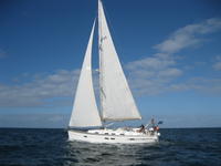 BAVARIA 45 Click to launch Larger Image