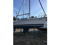 Hunter Legend 29.5 Click to launch Larger Image