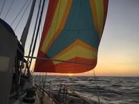 Hylas 54 Raised Salon Click to launch Larger Image