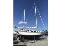 Allied Seawind Click to launch Larger Image