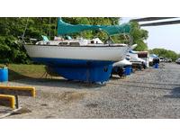 Cape Dory 30 Mk II Click to launch Larger Image