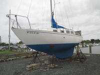 Bristol Herreshoff Click to launch Larger Image