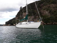  Alan Wright Kauri/Fibreglass Yacht Click to launch Larger Image