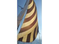 Beneteau First 305 Click to launch Larger Image