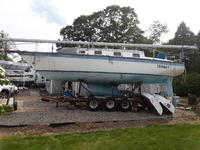 Hunter 33 Cherubini Click to launch Larger Image