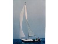 Home Built  Chuck Paine Design Carol Click to launch Larger Image