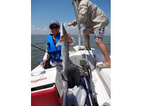 Catalina Catalina 14.2 Expo Click to launch Larger Image