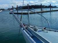 Pearson 10M Click to launch Larger Image
