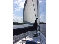 Hunter 31 Sailboat Click to launch Larger Image