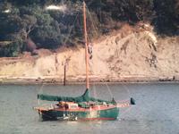U S Navy Staysail Cutter Click to launch Larger Image