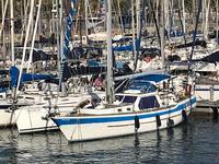 Wauquiez Amphitrite MS 45 Click to launch Larger Image