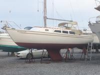 Capital Yachts Newport 30 Click to launch Larger Image