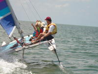 Hobie 16 SOLD Catamaran Click to launch Larger Image