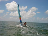 Hobie 16 SOLD Catamaran Click to launch Larger Image