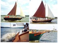 Atkins & Co Packet Sloop Click to launch Larger Image