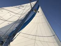 Catana C381 Click to launch Larger Image