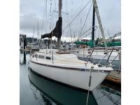 Schock Santana 27 Click to launch Larger Image
